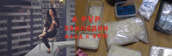 шишки Белокуриха
