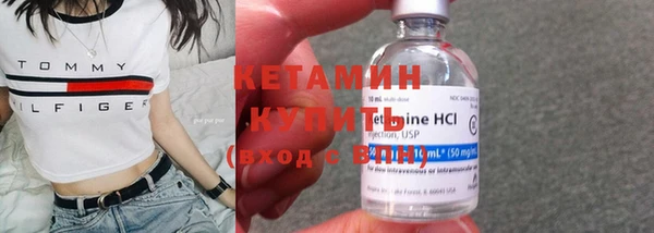 шишки Белокуриха
