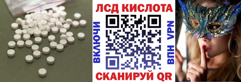 продажа наркотиков  Жиздра  Лсд 25 экстази ecstasy 
